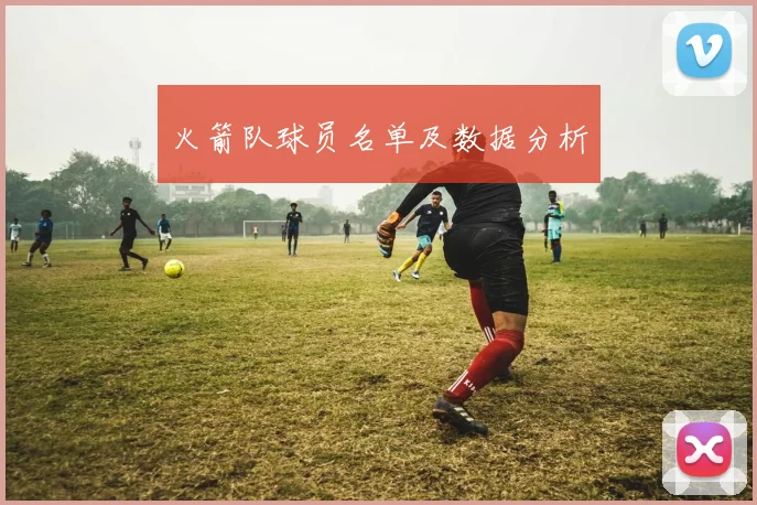 火箭队球员名单及数据分析